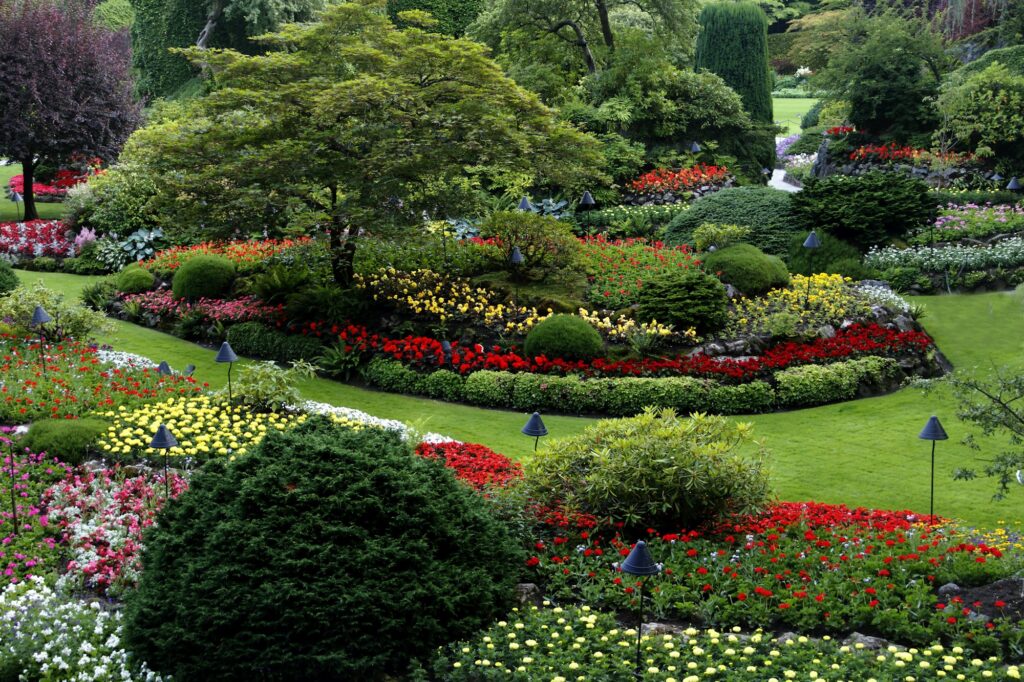 Parterres de flores y arbustos recortados